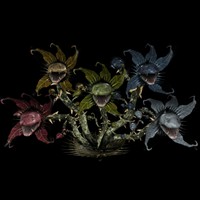 Портфолио Jacob Richardson